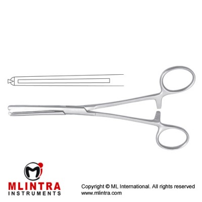 Maingot Hysterectomy Forcep Straight - 1 x 2 Teeth Stainless Steel, 20 cm - 8" Maingot Hysterectomy Forcep Straight - 1 x 2 Teeth Stainless Steel, 20 cm - 8"